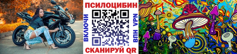 kraken вход  Нелидово  Псилоцибиновые грибы мухоморы 